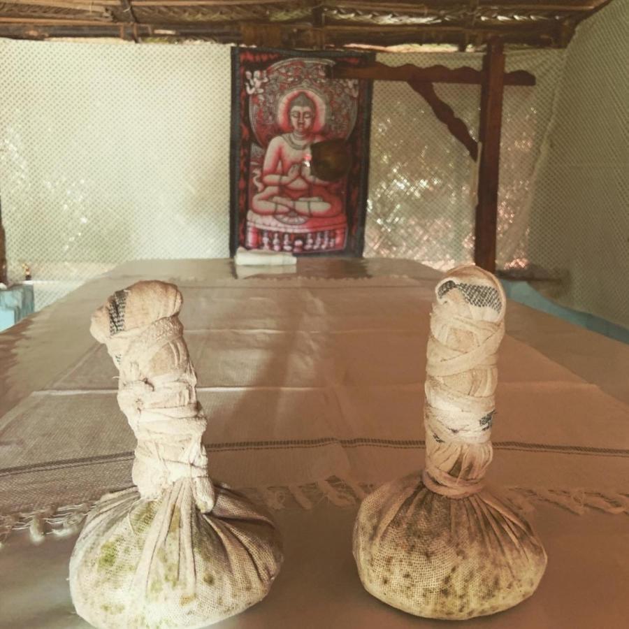 Green Garden Ayurvedic Resort & Green House Варкала Екстериор снимка